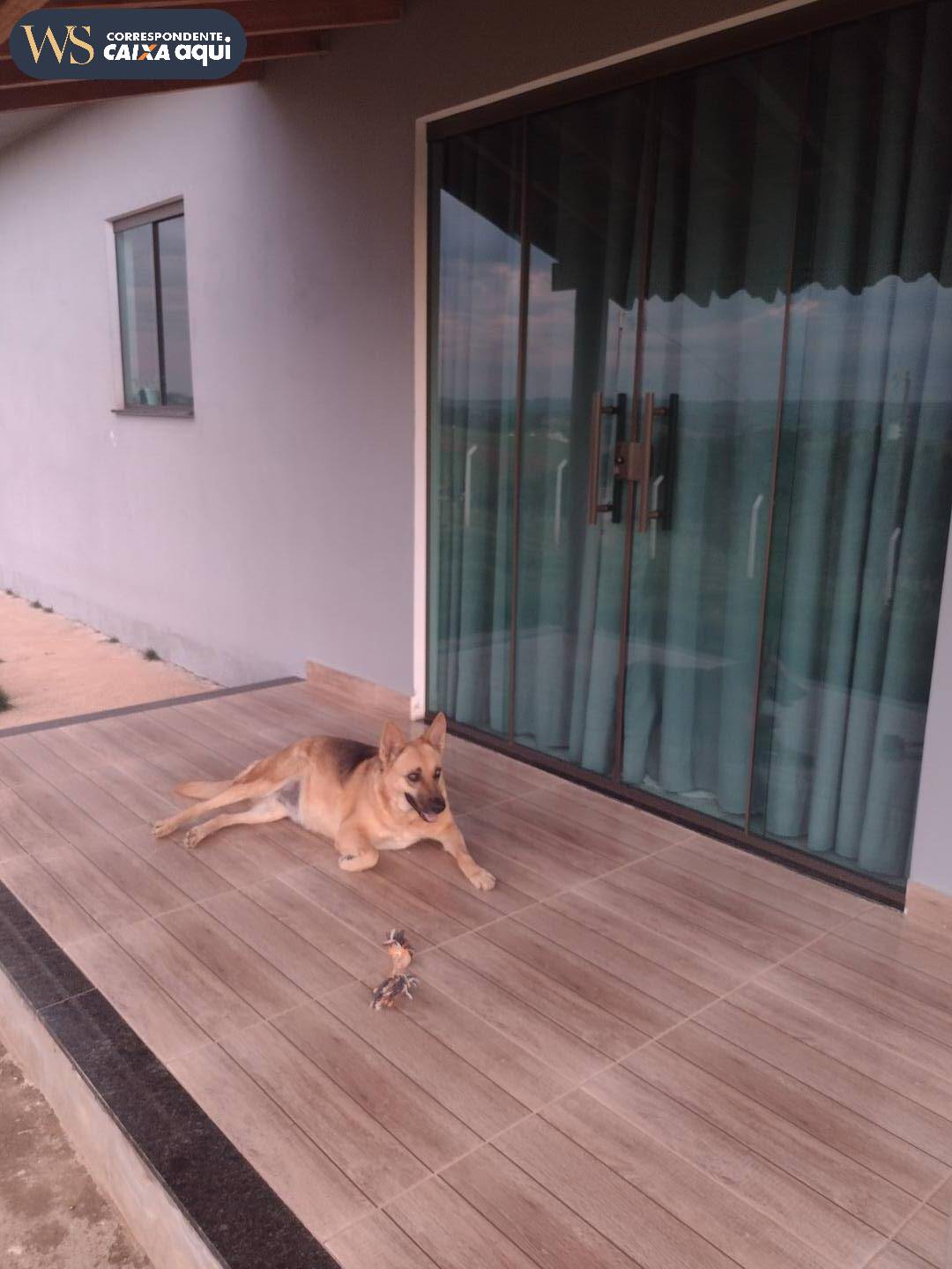 Sítio à venda com 2 quartos, 160m² - Foto 38